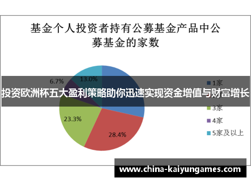 投资欧洲杯五大盈利策略助你迅速实现资金增值与财富增长