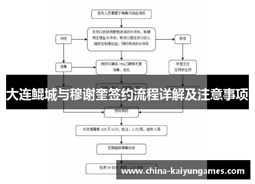 大连鲲城与穆谢奎签约流程详解及注意事项
