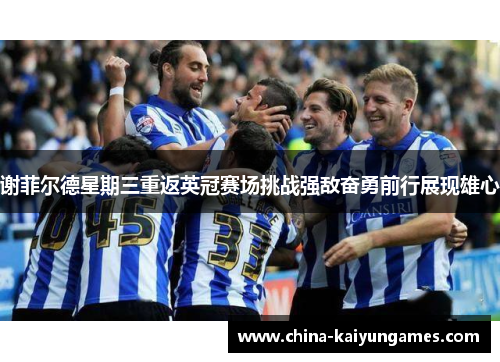 谢菲尔德星期三重返英冠赛场挑战强敌奋勇前行展现雄心 谢菲尔德星期三重返英冠赛场挑战强敌奋勇前行展现雄心
