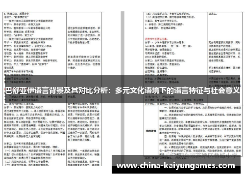 巴舒亚伊语言背景及其对比分析：多元文化语境下的语言特征与社会意义