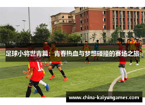 足球小将世青篇:青春热血与梦想碰撞的赛场之旅 足球小将世青篇:青春热血与梦想碰撞的赛场之旅